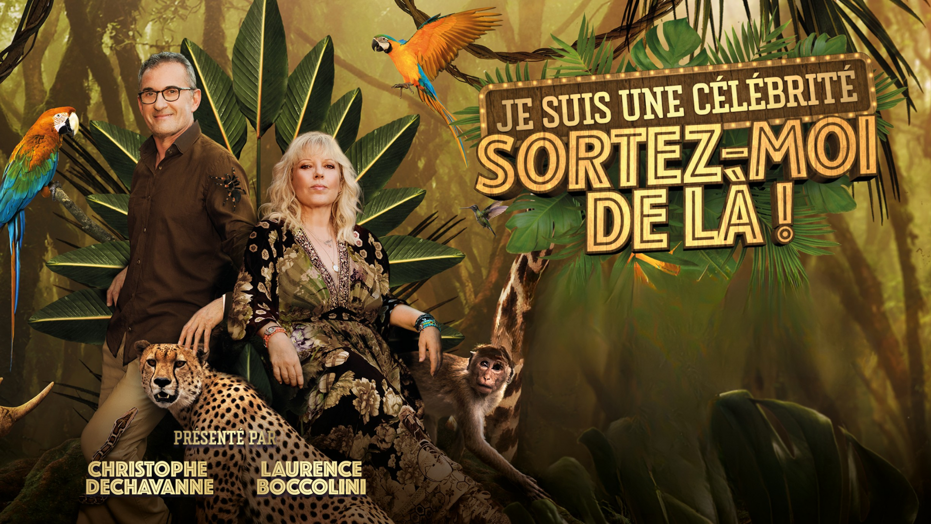 Je suis une célébrité, sortez-moi de là ! Je suis une célébrité, sortez-moi de là !